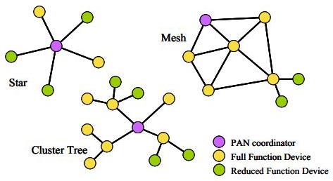 Network topology options in Zigbee